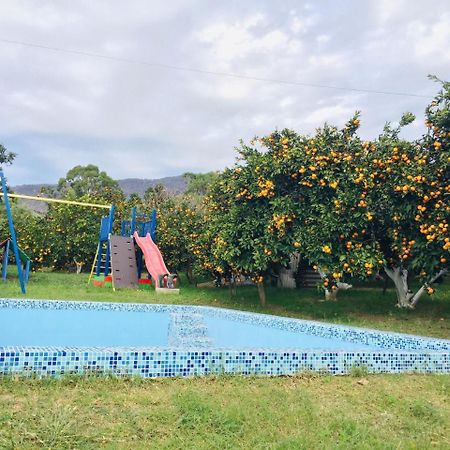 Holiday Home New Athos Buitenkant foto