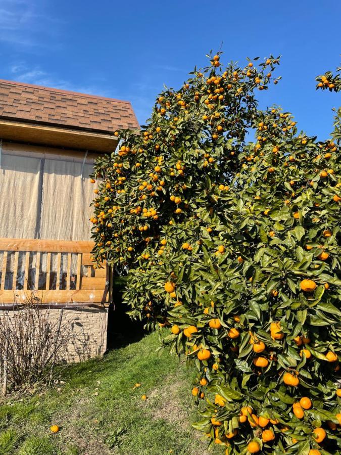 Holiday Home New Athos Buitenkant foto